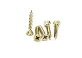 Villaboard Screws - Needle Point (Collated & Loose)